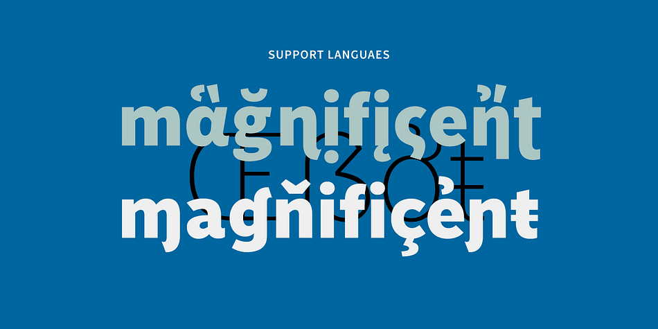 Displaying the beauty and characteristics of the Monrad font family.