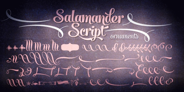 Displaying the beauty and characteristics of the Salamander Script font family.