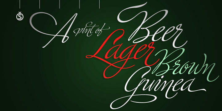Highlighting the Ministry Script font family.