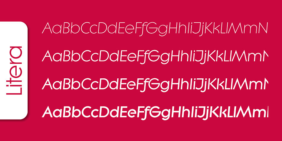 Emphasizing the popular Litera Serial font family.