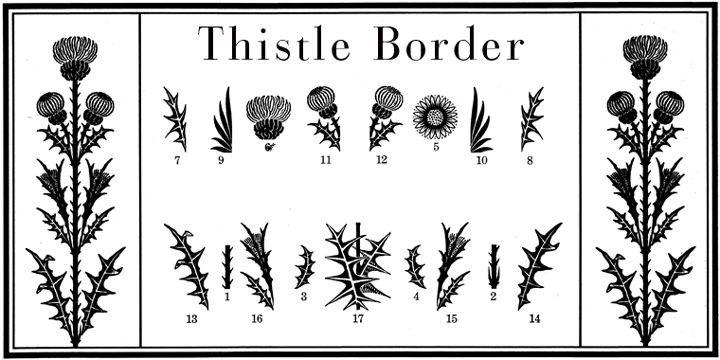Thistle Borders are yet another “trouvaille”.
