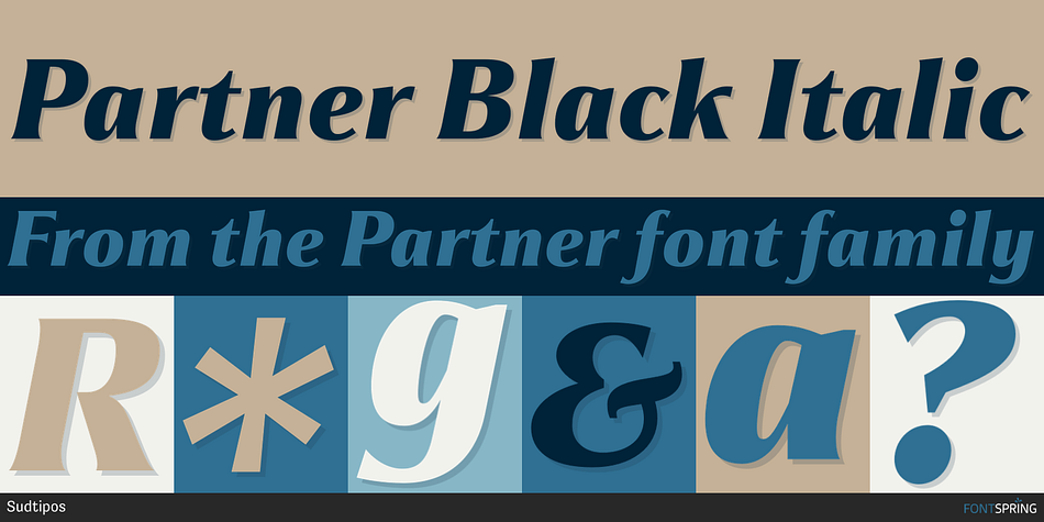 Partner Black Italic Font