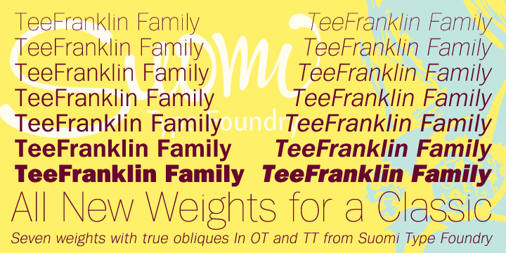 Displaying the beauty and characteristics of the TeeFranklin font family.