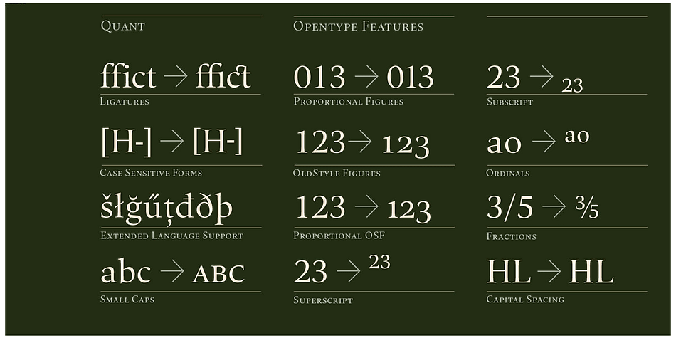 The Quant family consists of 8 styles, comes in OpenType format with extended language support for more than 40 languages.