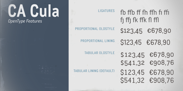 A set of five well balanced weights ought to be enough to cover most needs without throwing the typographer into questions like: demibold or semibold?