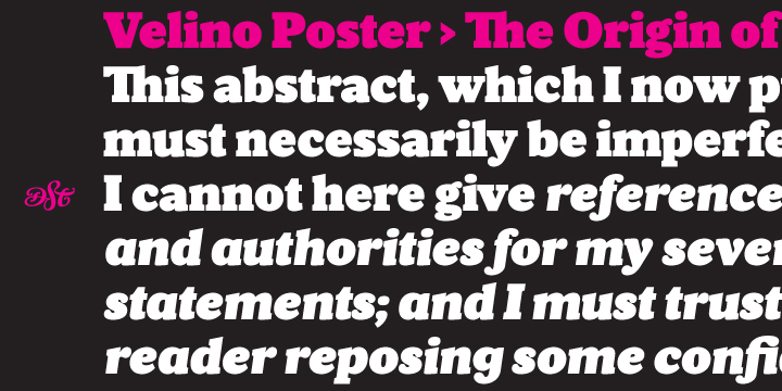 Velino is the most recent of our Premium Typefaces.
