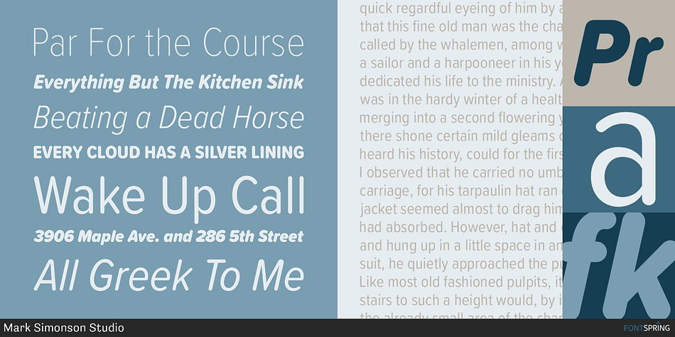 Displaying the beauty and characteristics of the Proxima Soft Condensed font family.