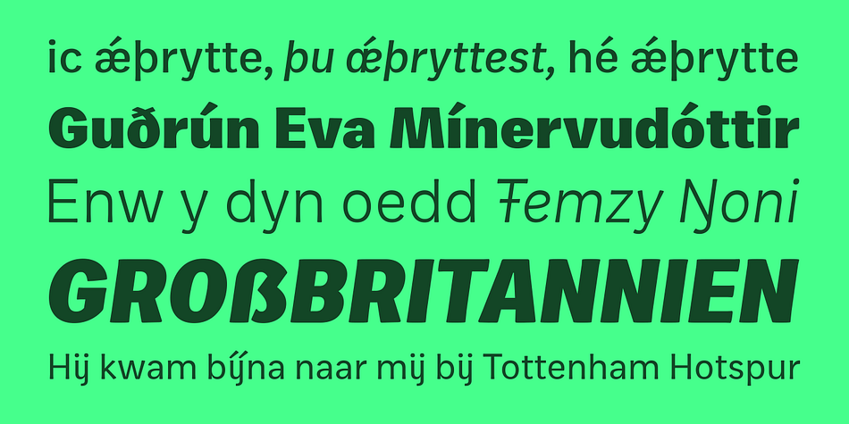 Zega Text is a fifteen font, sans serif family by IsacoType.