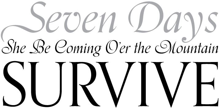 The Orpheus Pro fonts started out as a straightforward revival of Tiemann