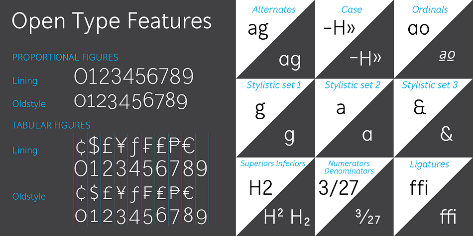 Displaying the beauty and characteristics of the Mucho Sans font family.
