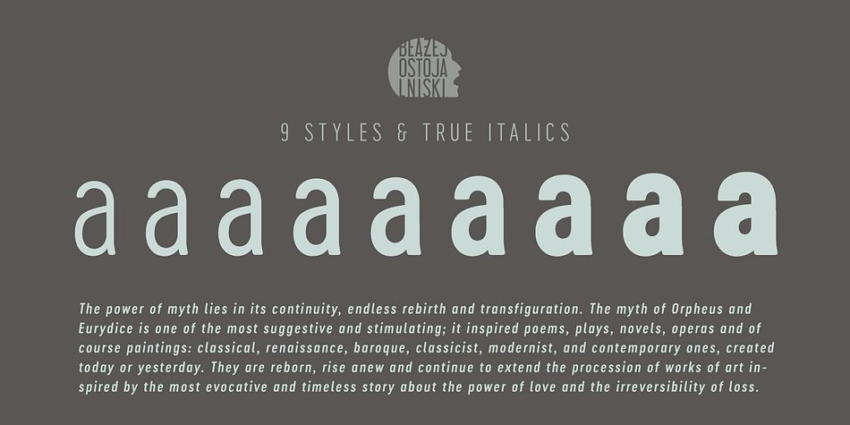Displaying the beauty and characteristics of the Cervo Neue font family.