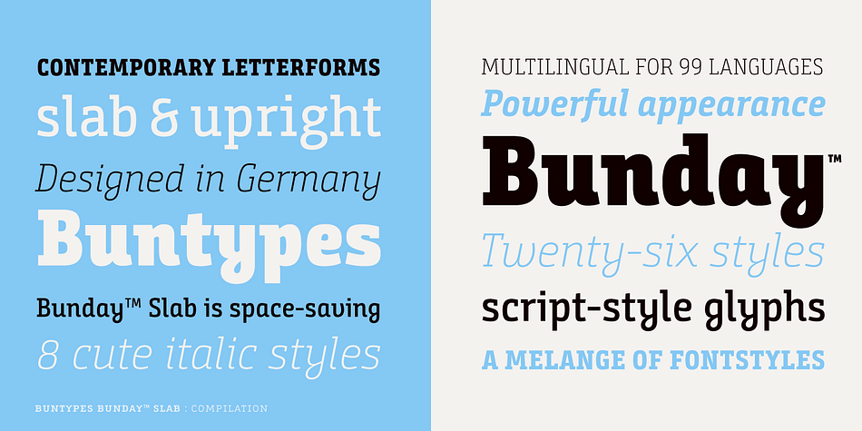 Buntypes Bunday Slab Specimen