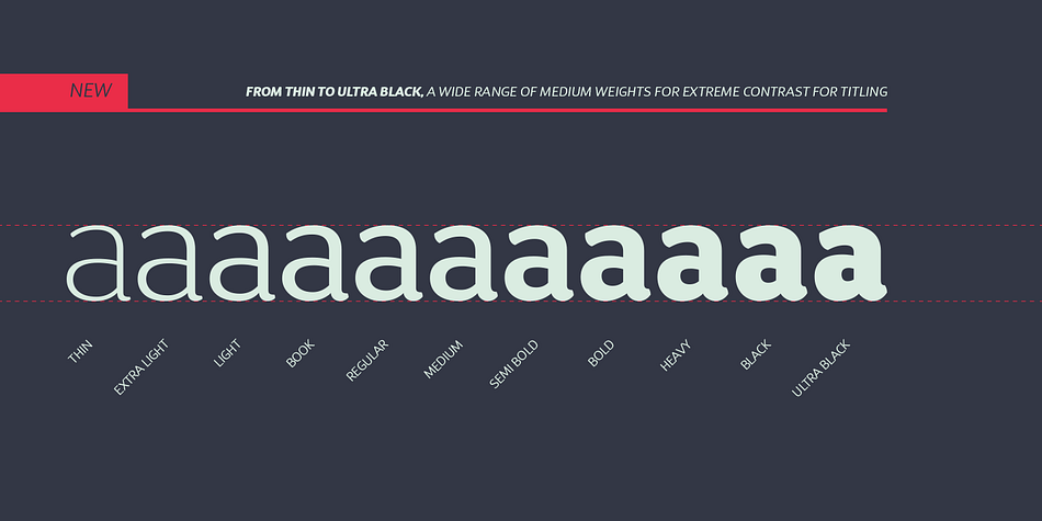 Although it follows the ductus, D Sari is also a daring font with less pointed shapes, as is the case with regular neo-humanist typefaces.