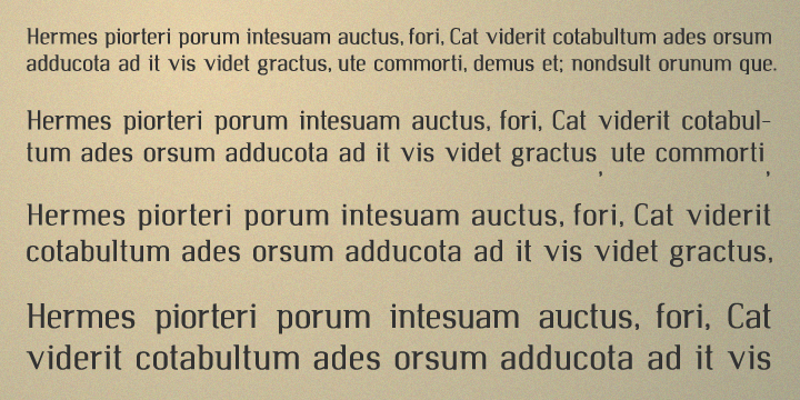 Displaying the beauty and characteristics of the HERMES font family.