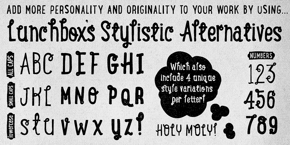 Emphasizing the popular LunchBox font family.