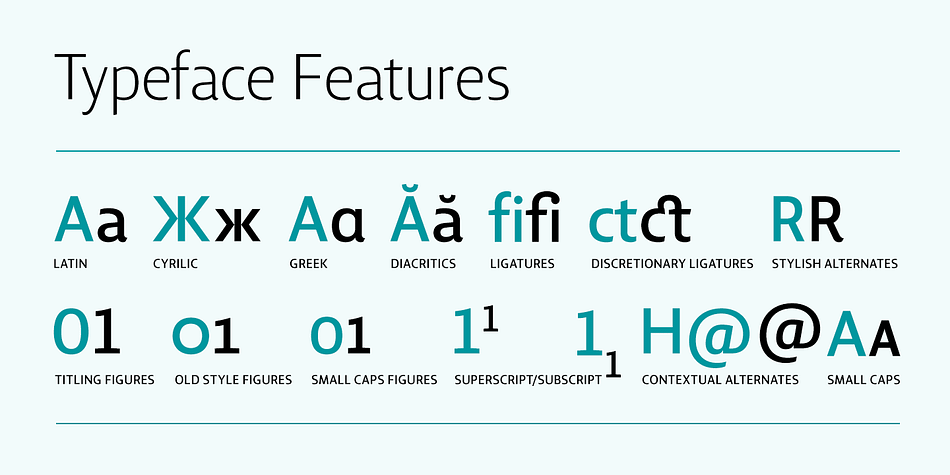 The simplicity of the sans weight created very strong readability at small sizes.