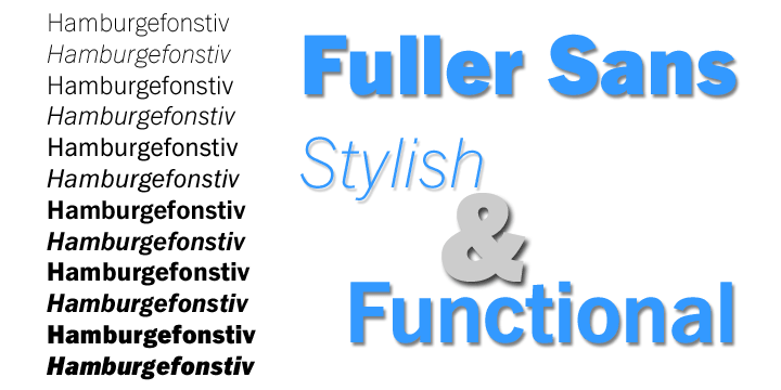 Displaying the beauty and characteristics of the FullerSansDT font family.