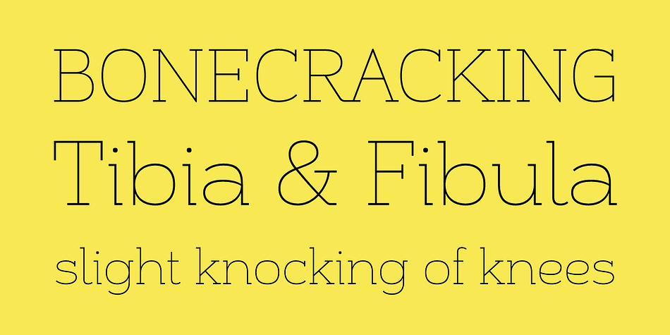 It has slightly super-eliptical forms and crisp details, giving it a contemporary look. Alight Slab features automatic fractions, a discretionary ct ligature, and a capital sharp s.