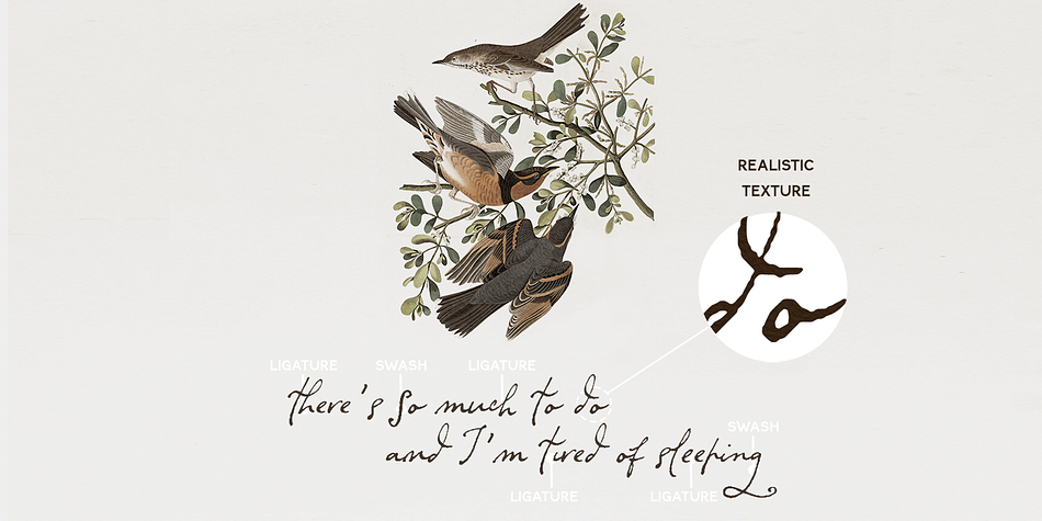 Dramatico Script Font