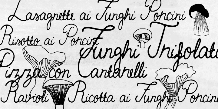 Emphasizing the favorited Funghi Mania font family.