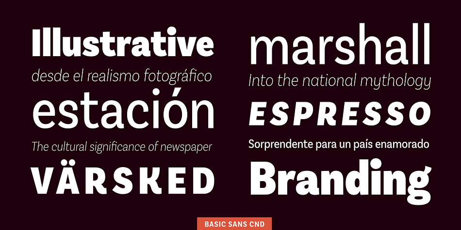 Designed by Daniel Hernández

Basic Sans Cnd is a narrower version of Basic Sans.