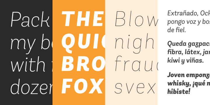 This type is well-suited for use in retail, magazines, logotypes, books, etc.