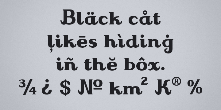 It has contextual alternates, fractions, four types of figures (old style, lining, superior and inferior), ordinals and a case feature.