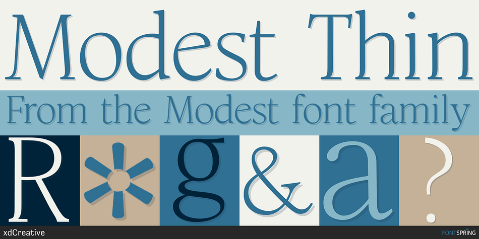Modest Thin Font