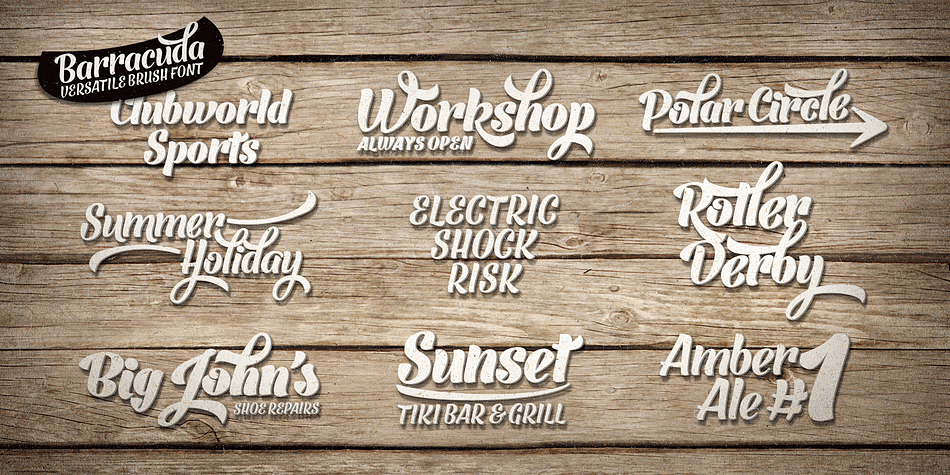 Displaying the beauty and characteristics of the Barracuda font family.