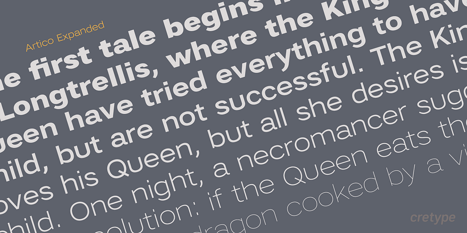 Artico is versatile type family of 72 fonts.