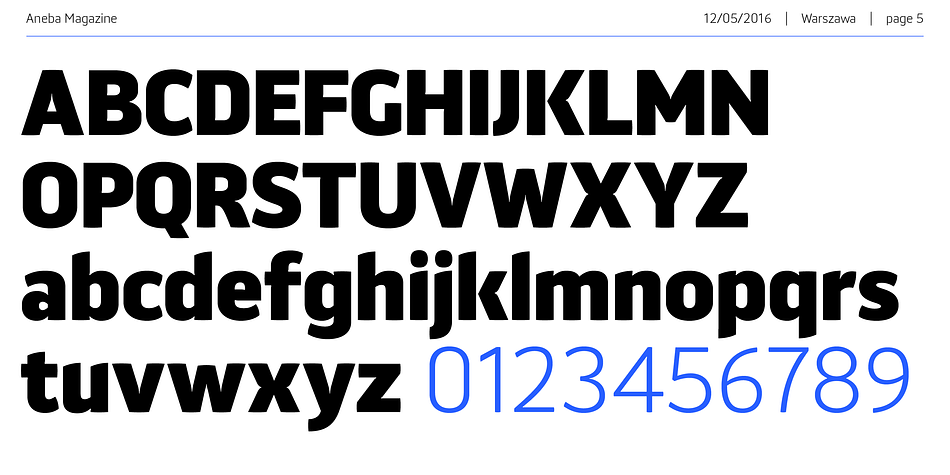 Displaying the beauty and characteristics of the Aneba Neue font family.