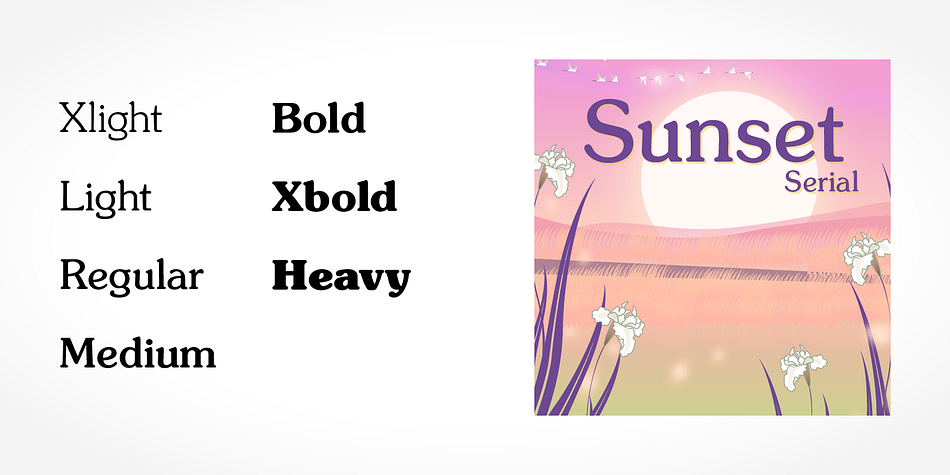 Highlighting the Sunset Serial font family.