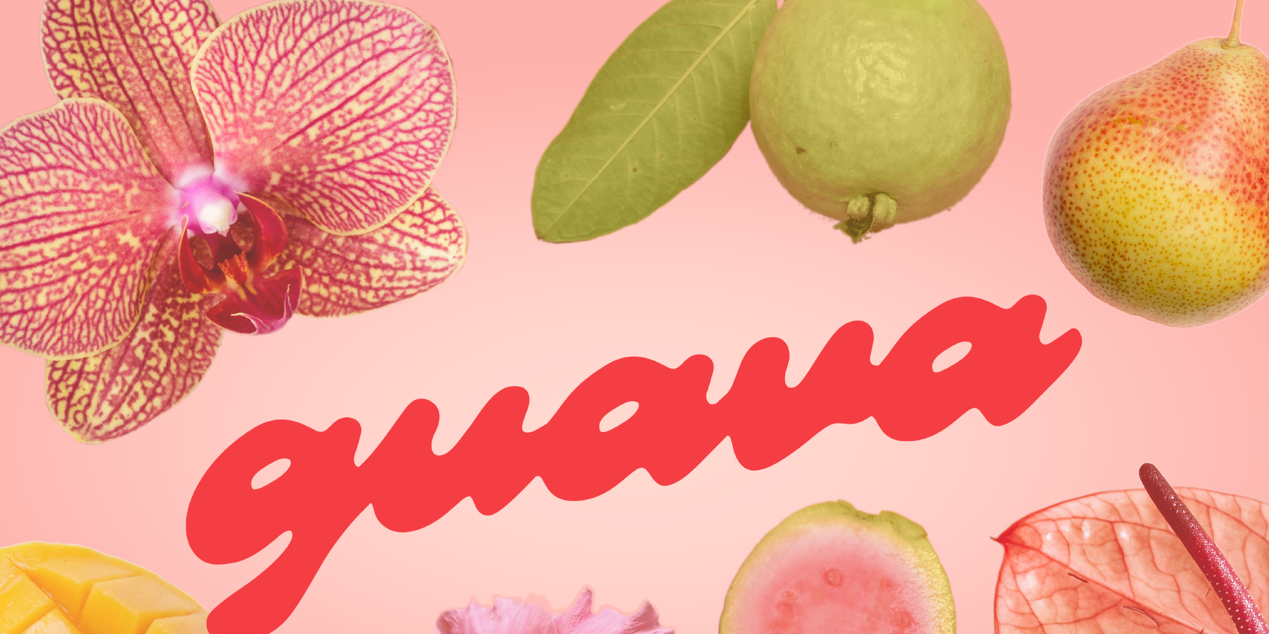 Guava