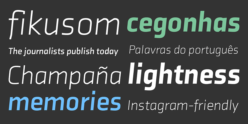 Originally designed for the Rice University School of Architecture in 2011, this contemporary sans found some inspiration in the TwinCities typeface family created by Sibylle Hagmann for the University of Minnesota in 2003.