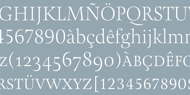 Displaying the beauty and characteristics of the Pona Display font family.