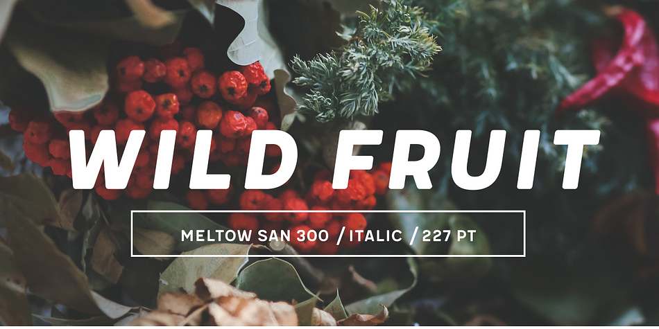Meltow font family example.