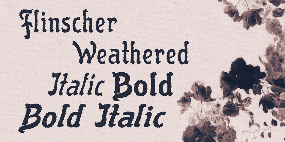 In essence, it is a calligraphic script typeface family with blackletter influences.