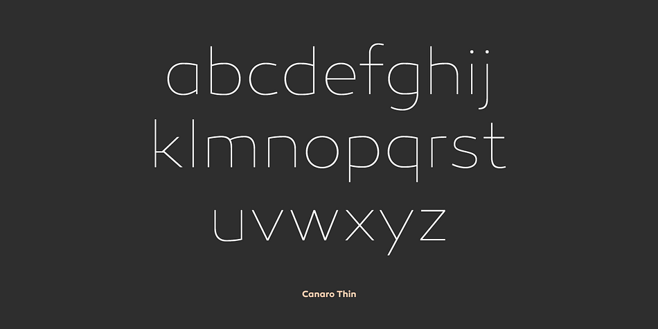 Typographic features like alternative lettershapes, ligatures, oldstyle numbers, arrows, fractions, special characters and many more, round up the whole family.