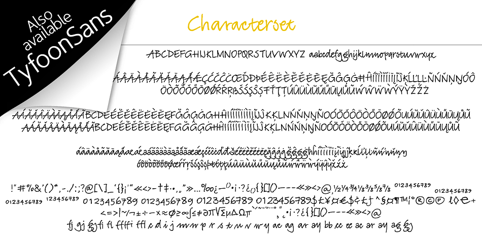 Highlighting the TyfoonScript font family.