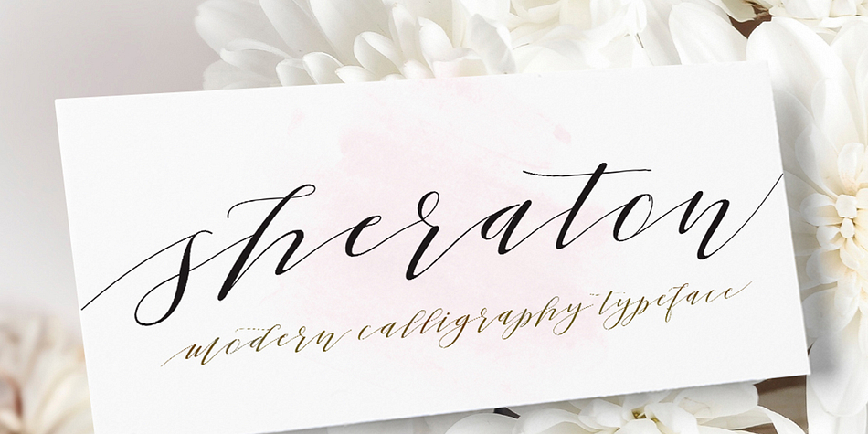 Sheraton Script is a modern calligraphy font, with characters dance along the baseline and elegant touch.