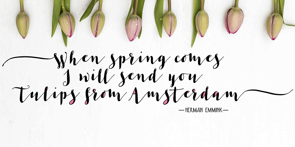 Les Tulipes Pro Sans was designed to complement and support the other styles.