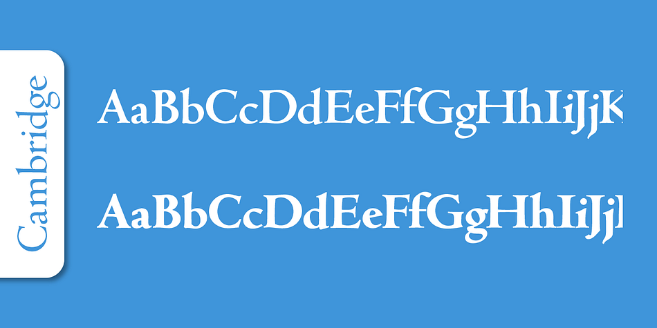 Emphasizing the popular Cambridge Serial font family.