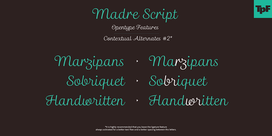 Madre Script font family example.