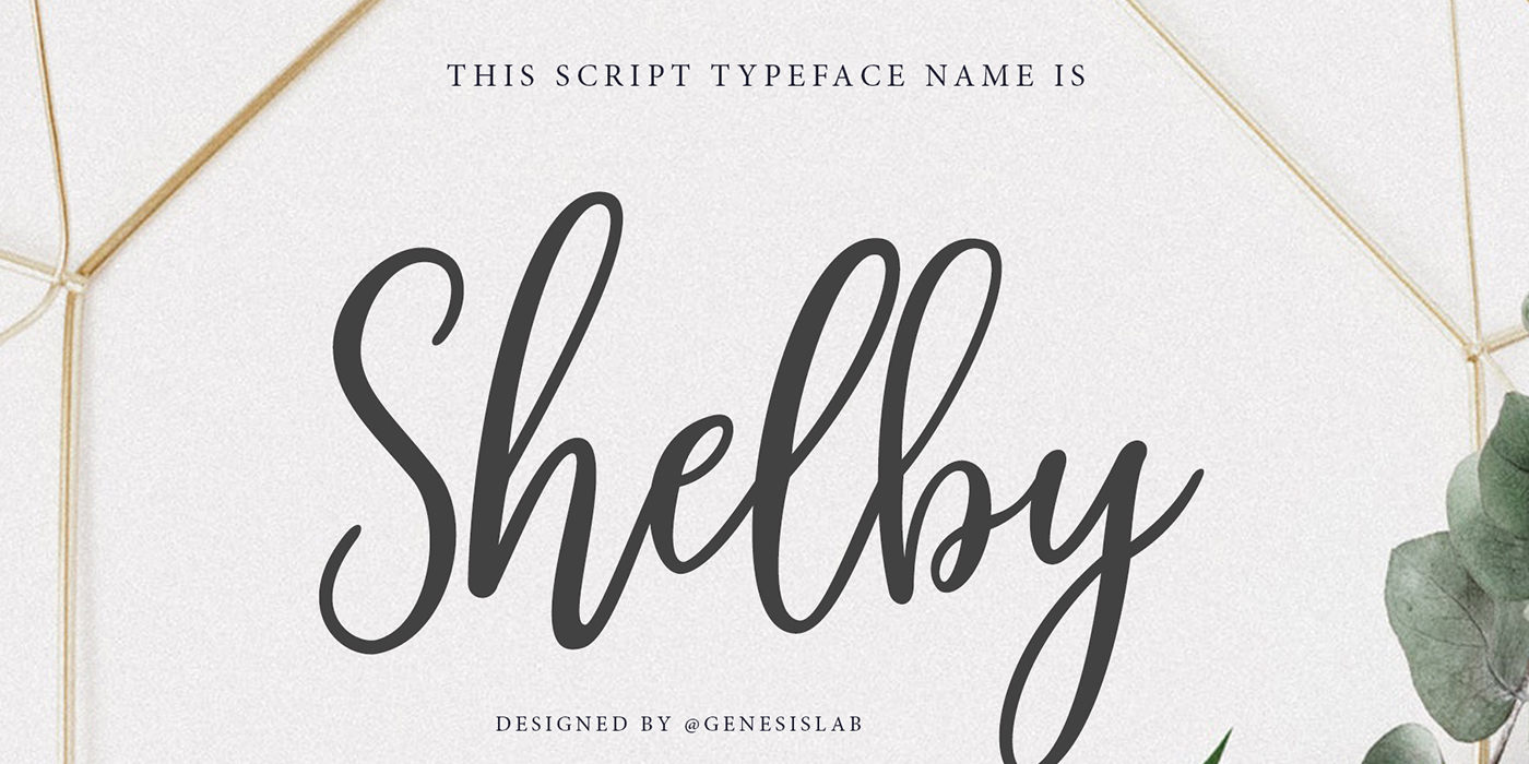 Shelby Script