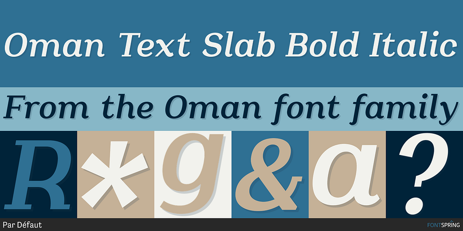 Oman Text Slab Bold Italic Font