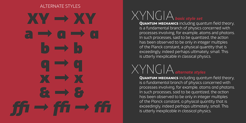 Xyngia consists of 22 fonts - 11 weights and their corresponding italics.