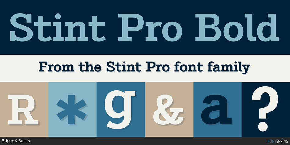 Stint Pro Bold Font