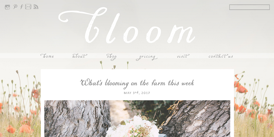 Liesel is a a six font family.