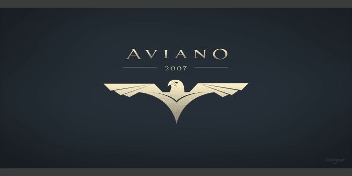 Aviano is an extended titling face with influence from the power and timeless beauty of classical letterforms. Aviano features extended characters for a formal feel, sharp, powerful looking serifs and geometric and consistent letterforms. Use Aviano as an alternative to Trajan.
