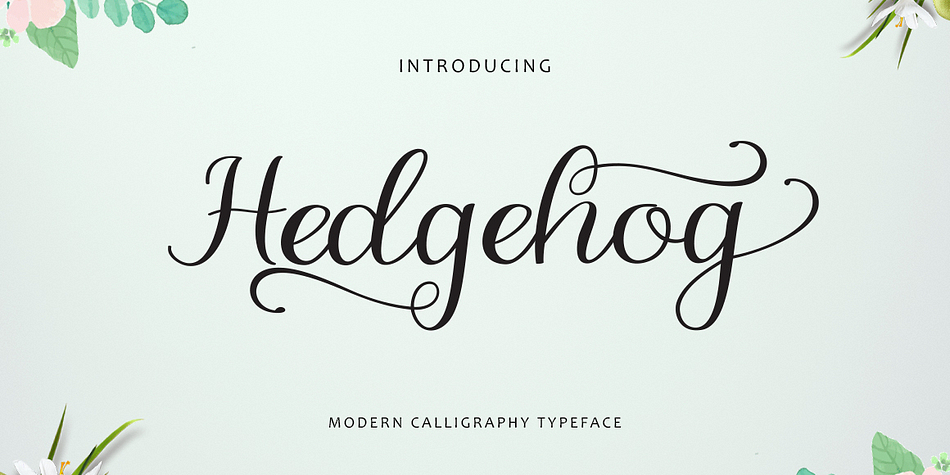 Hedgehog is a script font full of character.